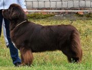 Превью фото № 237416