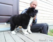 Превью фото № 237453