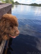 Превью фото № 237465