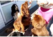 Превью фото № 237470