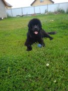 Превью фото № 237480