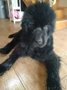 Превью фото № 237481