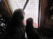 Превью фото № 237503