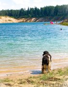 Превью фото № 237523