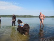 Превью фото № 237547