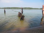 Превью фото № 237548