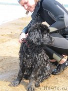 Превью фото № 237556