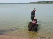 Превью фото № 237563