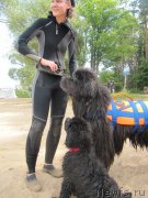 Превью фото № 237571