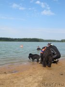 Превью фото № 237574