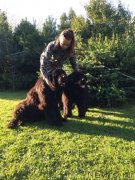 Превью фото № 237582