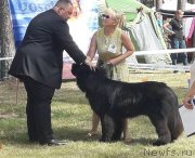 Превью фото № 237610