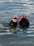 Превью фото № 237665