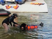 Превью фото № 237668