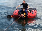 Превью фото № 237669