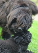 Превью фото № 237689