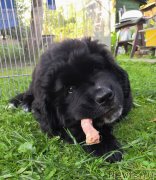 Превью фото № 237690