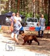 Превью фото № 237760