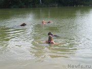 Превью фото № 237841