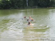 Превью фото № 237842