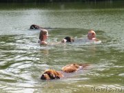 Превью фото № 237843