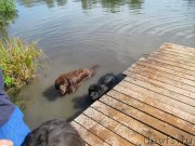 Превью фото № 237846