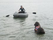 Превью фото № 237889