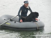 Превью фото № 237891