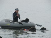 Превью фото № 237894