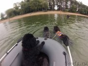 Превью фото № 237895