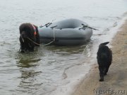 Превью фото № 237900