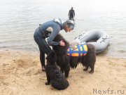 Превью фото № 237901