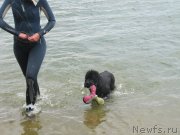 Превью фото № 237902