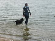 Превью фото № 237904