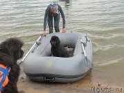 Превью фото № 237907