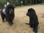 Превью фото № 237912