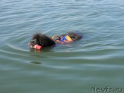 Превью фото № 237950