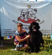 Превью фото № 237972