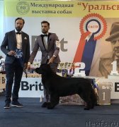 Превью фото № 238057