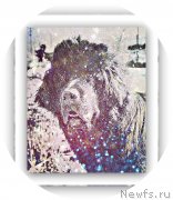 Превью фото № 238070