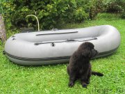 Превью фото № 238073