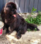 Превью фото № 238102