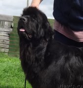 Превью фото № 238171