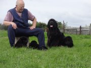 Превью фото № 238205