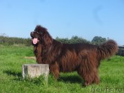 Превью фото № 238208