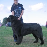 Превью фото № 238221