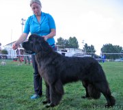 Превью фото № 238222