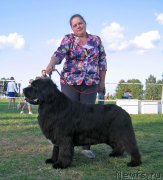 Превью фото № 238223