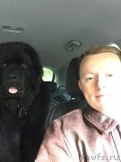 Превью фото № 238289