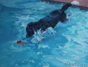 Превью фото № 238312